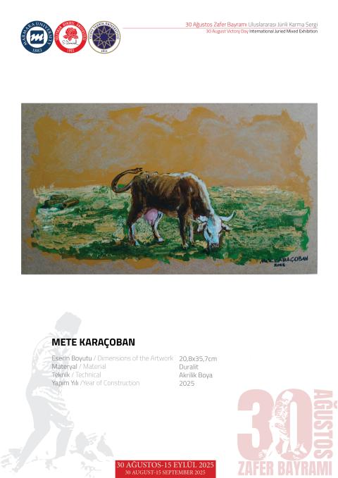 METE KARAÇOBAN